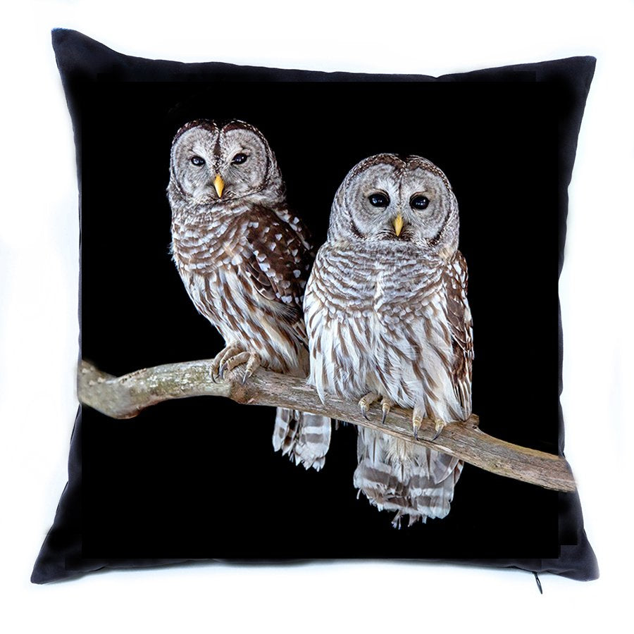 Pair of Barred Owls