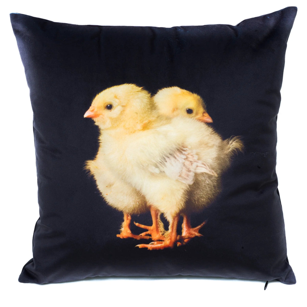 Chicks
