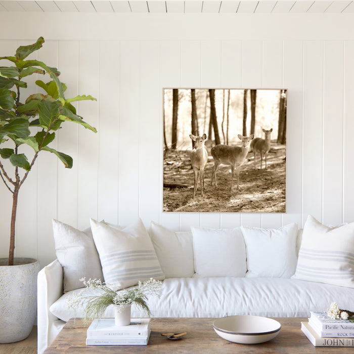 Three Deer in Woods, in a room