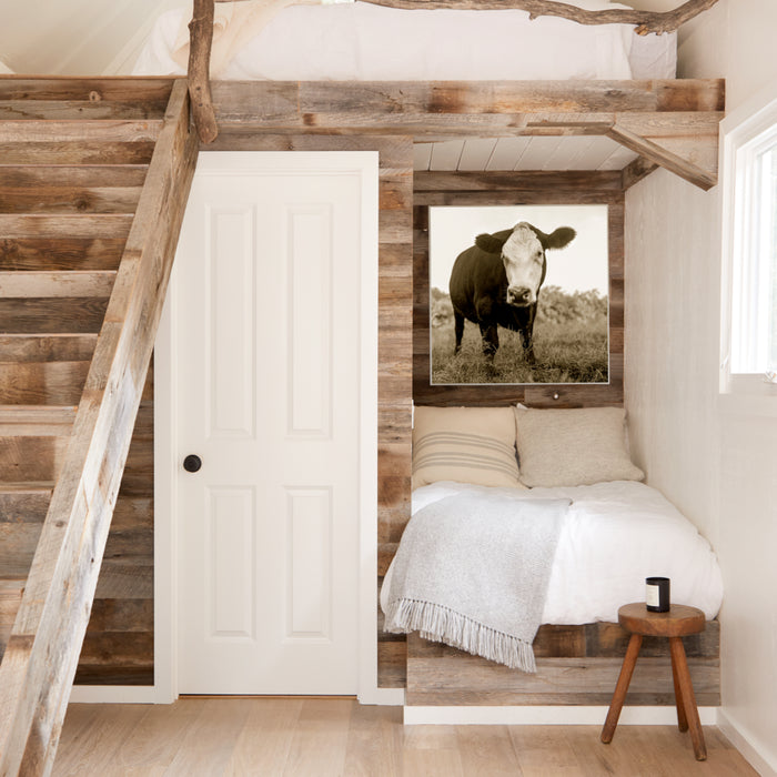 Red Hook Cow, in a room