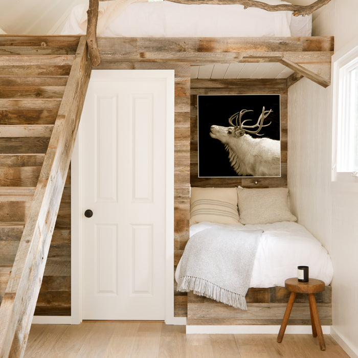 White Stag, in a room