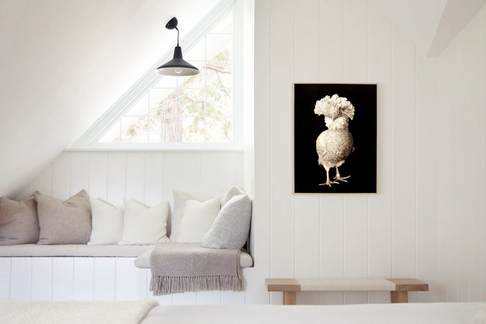 Fancy Chicken, in a room