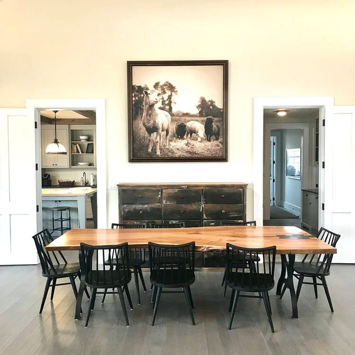 Loner Sheep with Flock, in a room