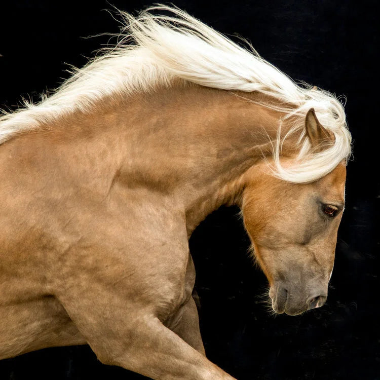 Sherman