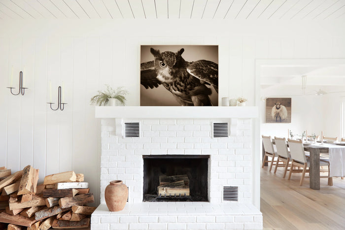 Great Horned Owl, in a room