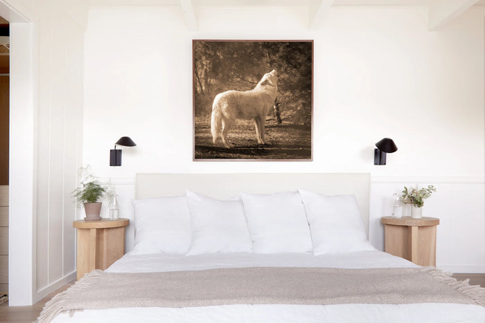 Wolf, in a room