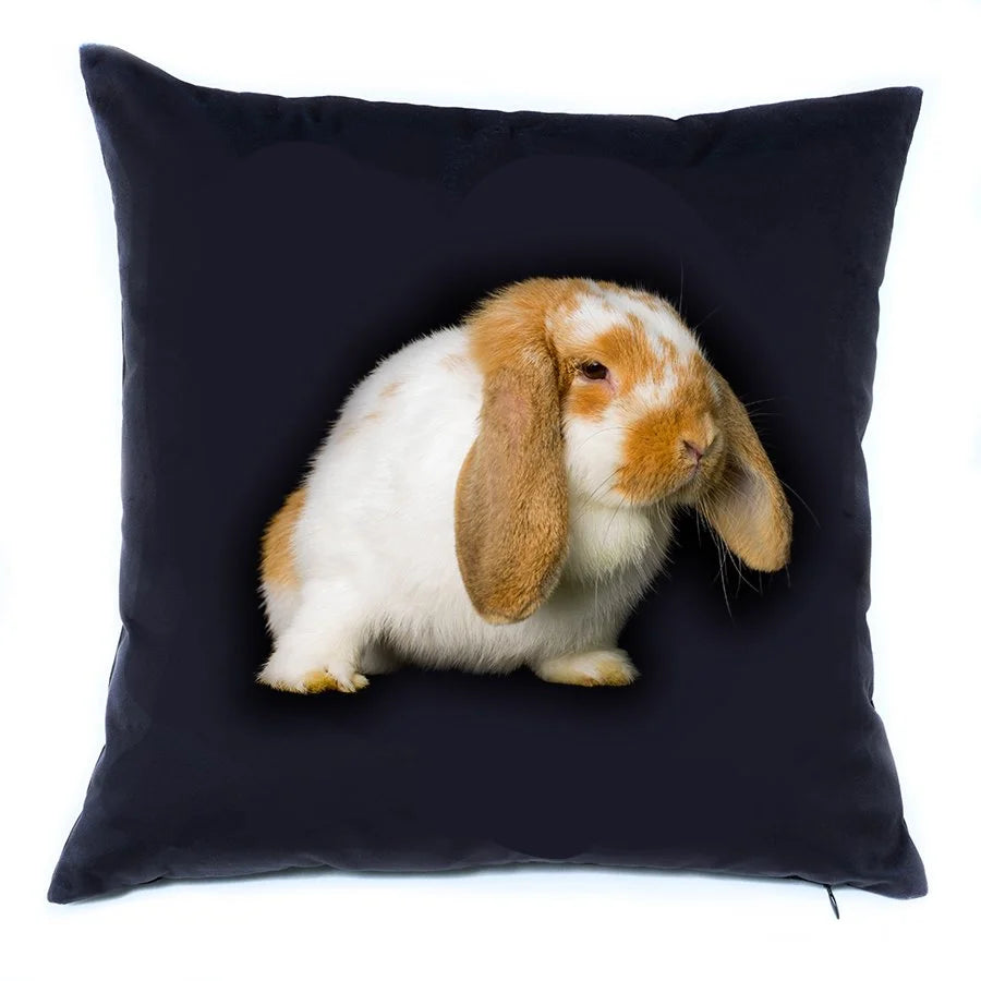 Lop Earred Bunny