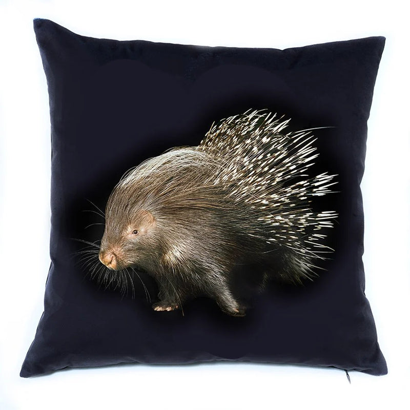 Porcupine