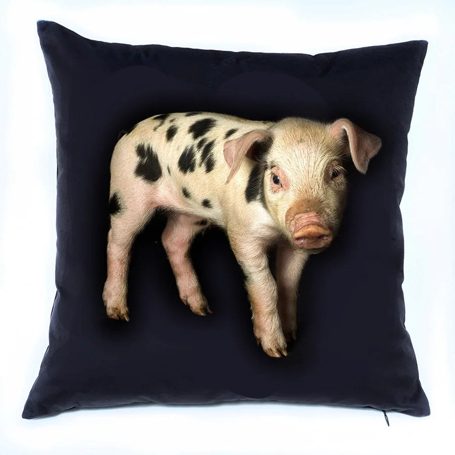 Piglet