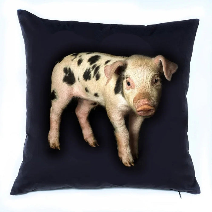 Spotted Piglet, on a pillow
