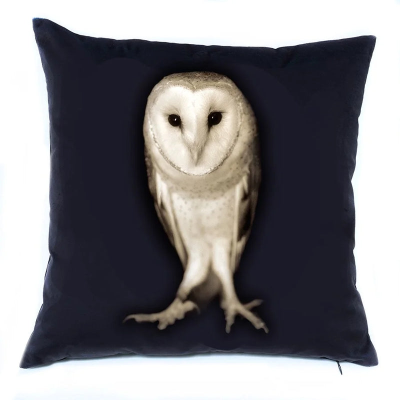 Barn Owl