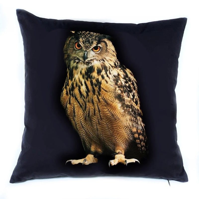 Asian Eagle Owl