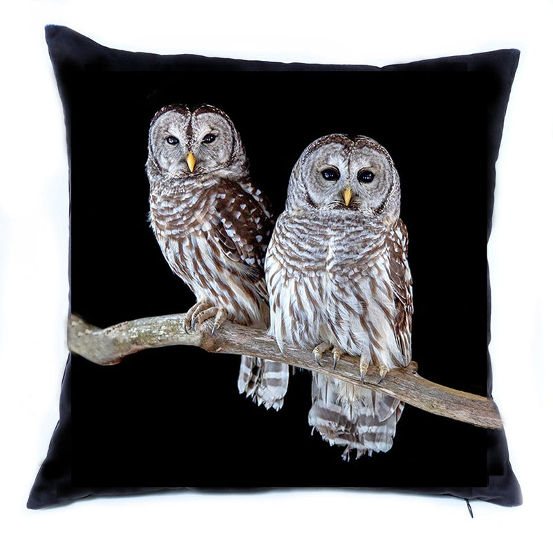Pair of Barred Owls