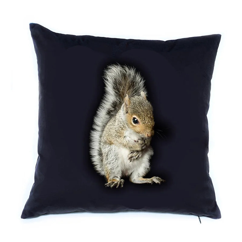 Baby Squirrel circle secondary