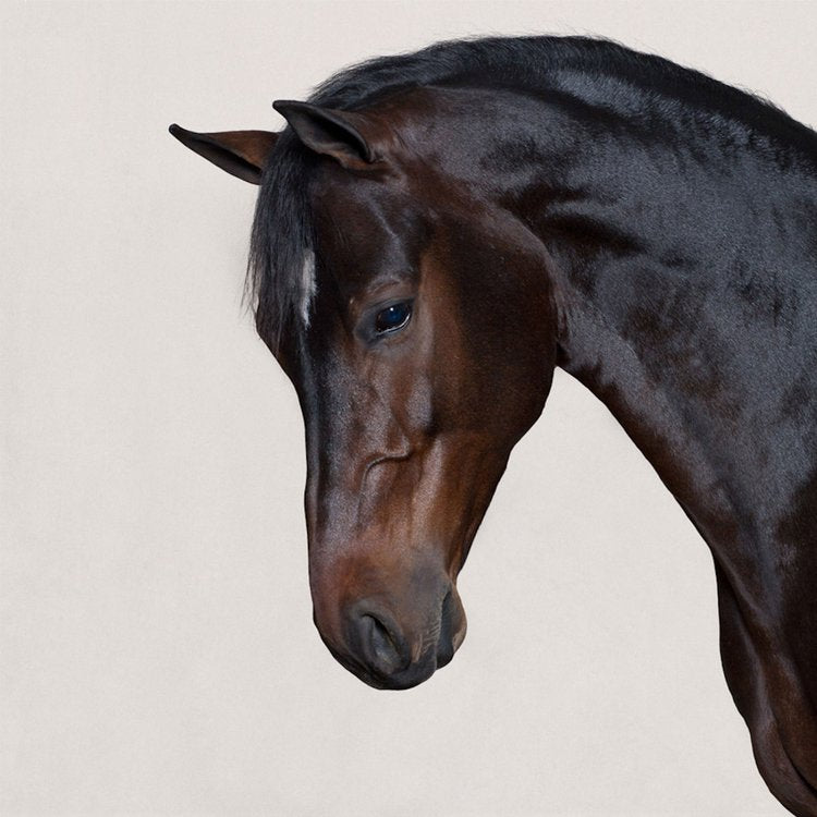A commissioned portrait by Valerie Shaff.