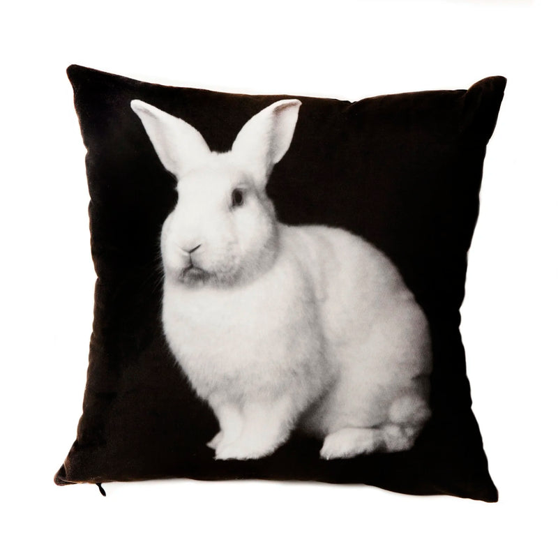 Bunny X