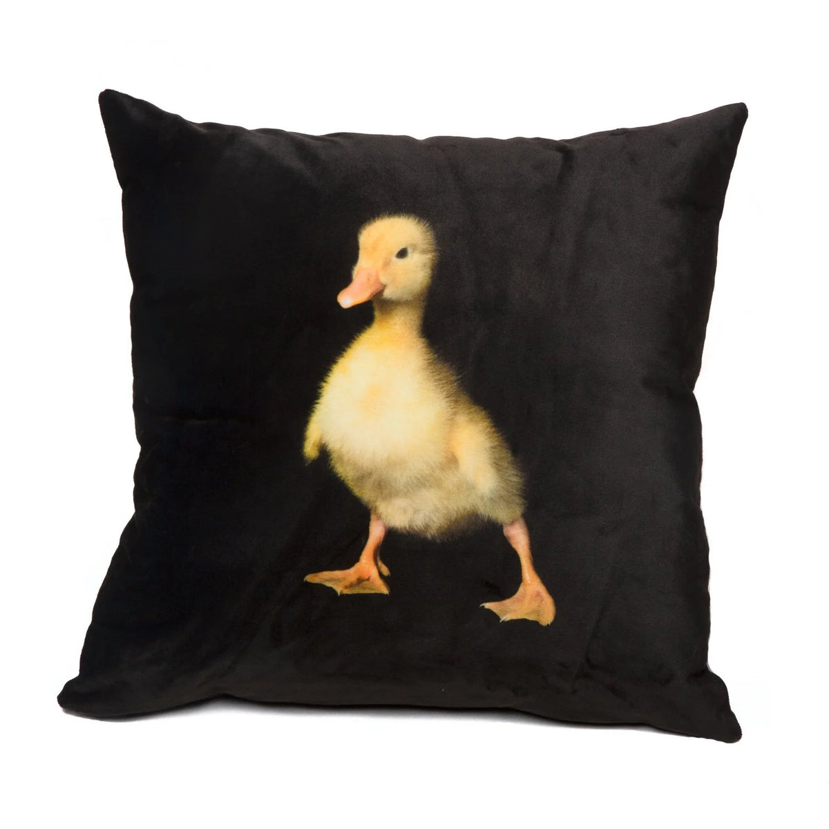 Duckling