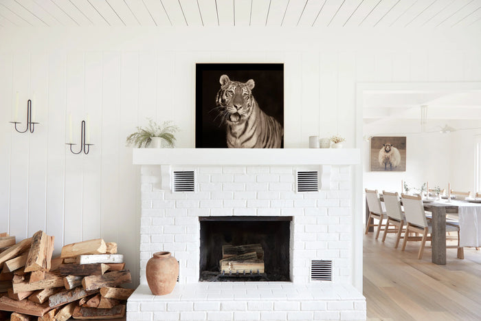 Sweet Tiger, in a room