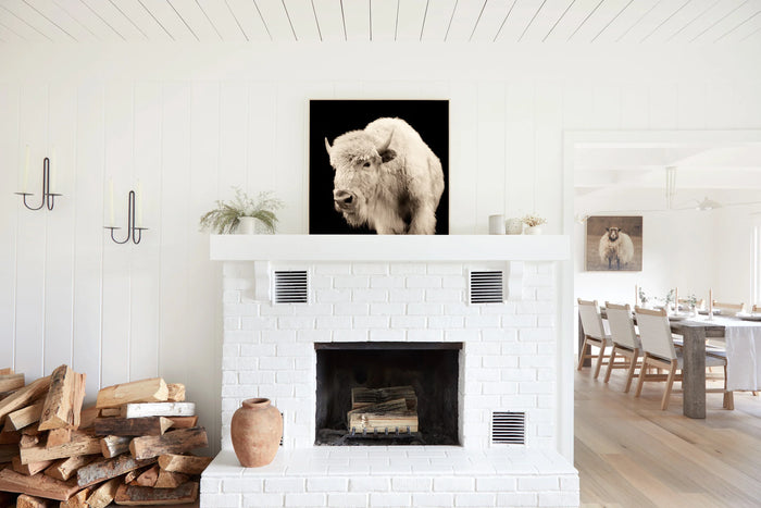 White Buffalo Calf I, in a room