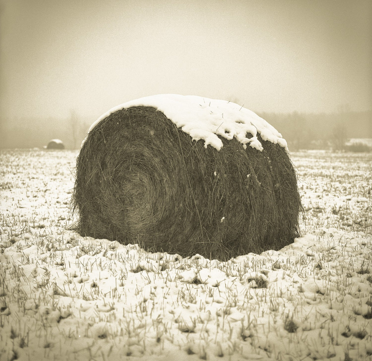 Snow Bale