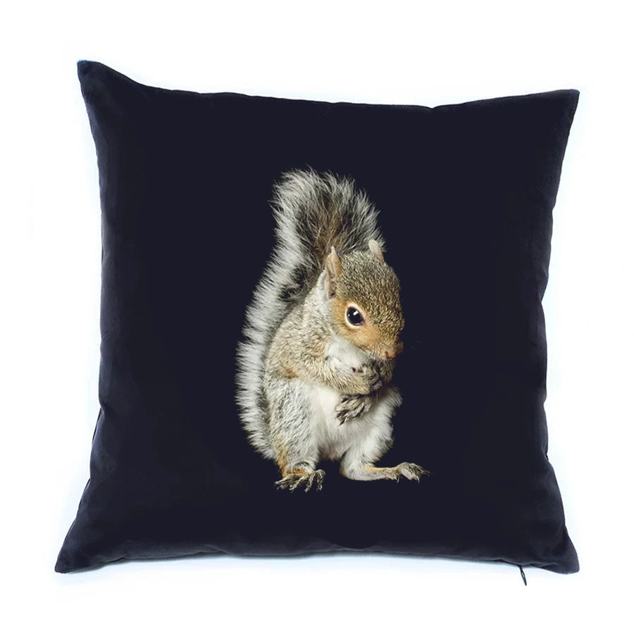 Baby Squirrel circle secondary